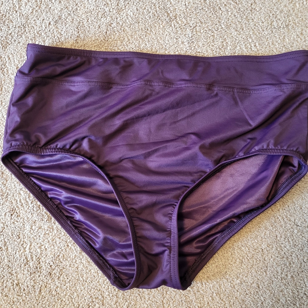 Lands' End Purple Swim Panties